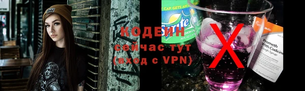 спиды Богданович