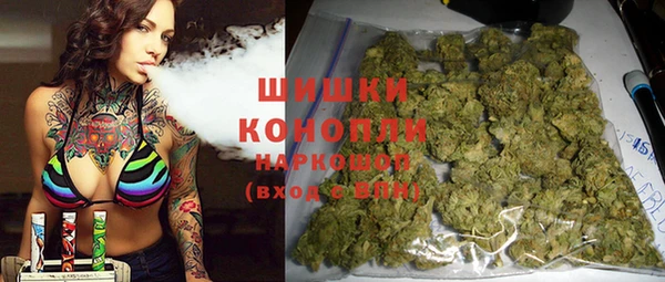 спиды Богданович