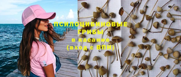 каннабис Богородицк