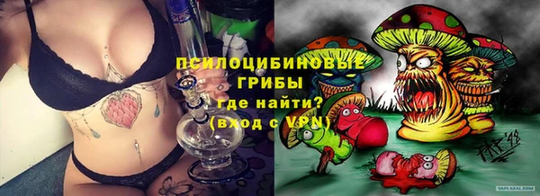 спиды Богданович