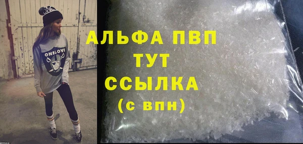 спиды Богданович