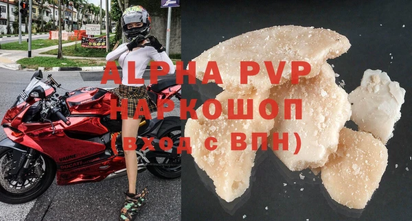 спиды Богданович