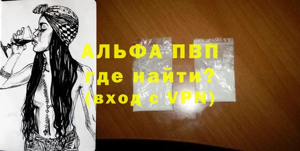 спиды Богданович