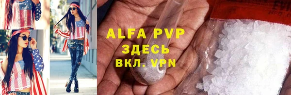 спиды Богданович